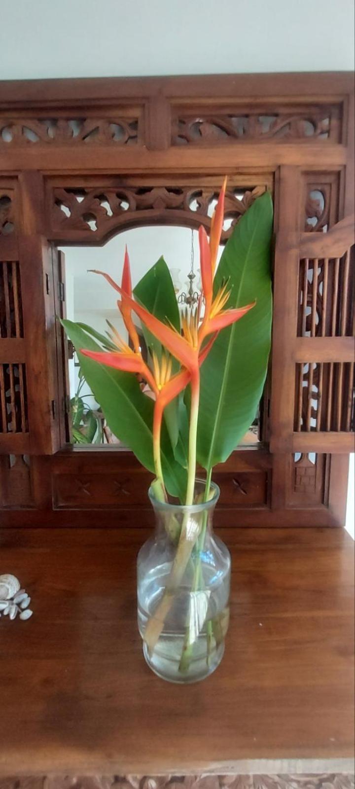 Residence71Nadi Fiji Eksteriør bilde